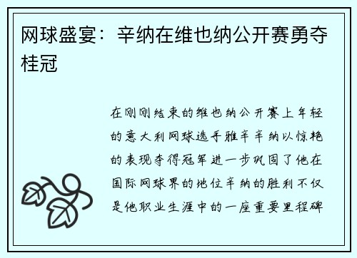 网球盛宴：辛纳在维也纳公开赛勇夺桂冠