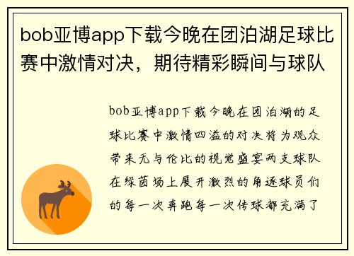 bob亚博app下载今晚在团泊湖足球比赛中激情对决，期待精彩瞬间与球队荣耀