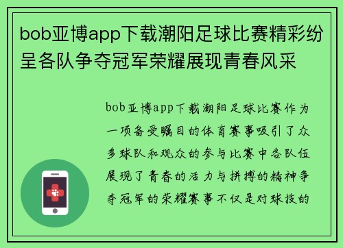 bob亚博app下载潮阳足球比赛精彩纷呈各队争夺冠军荣耀展现青春风采